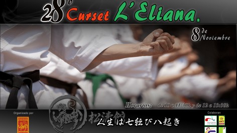 Curset Karate L'Eliana 2014