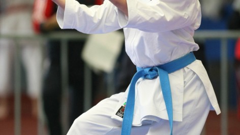 Karate1 Premier League · Hanau 2014
